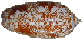 Suivante